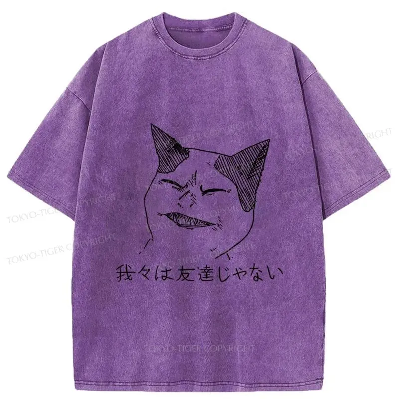 Tokyo-Tiger Cold Cat Washed T-Shirt