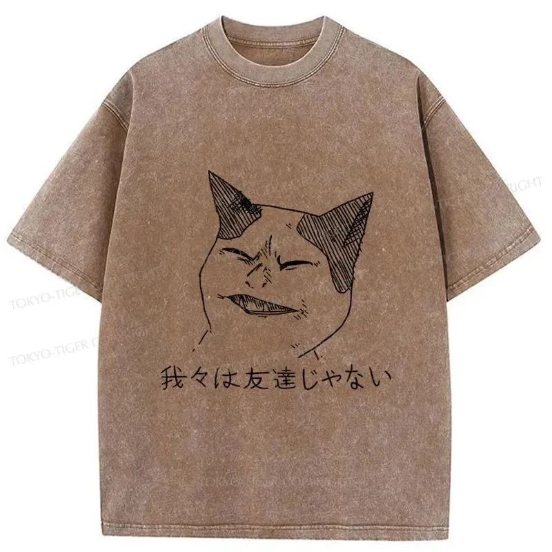 Tokyo-Tiger Cold Cat Washed T-Shirt