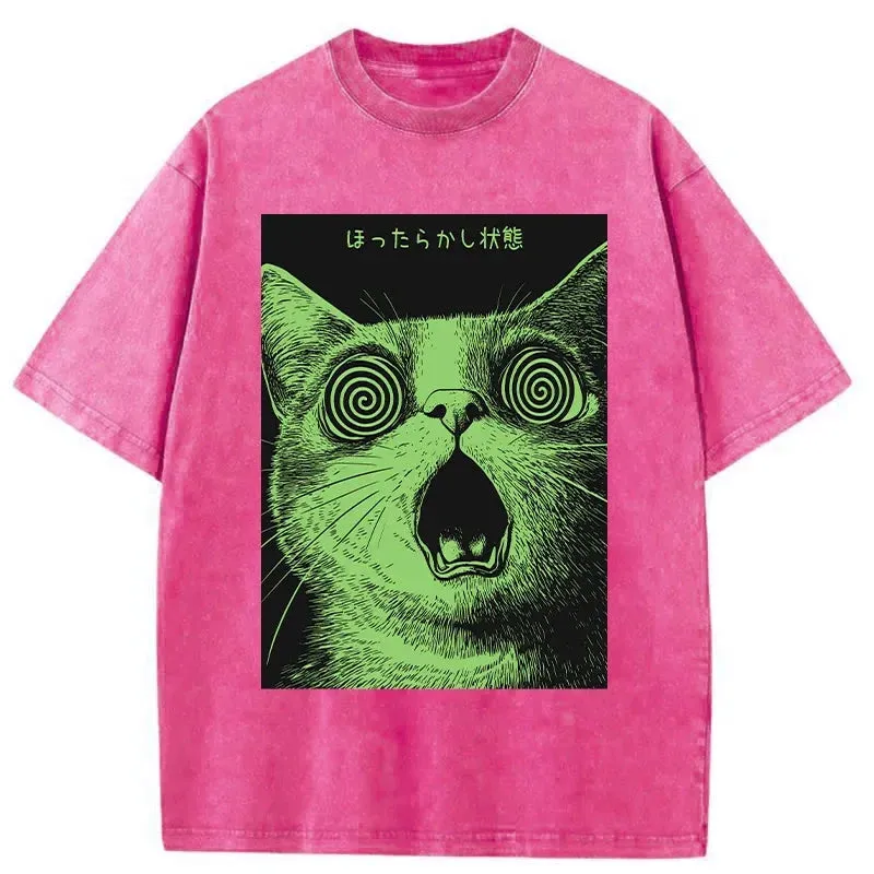 Tokyo-Tiger Confused Cat Japanese Washed T-Shirt