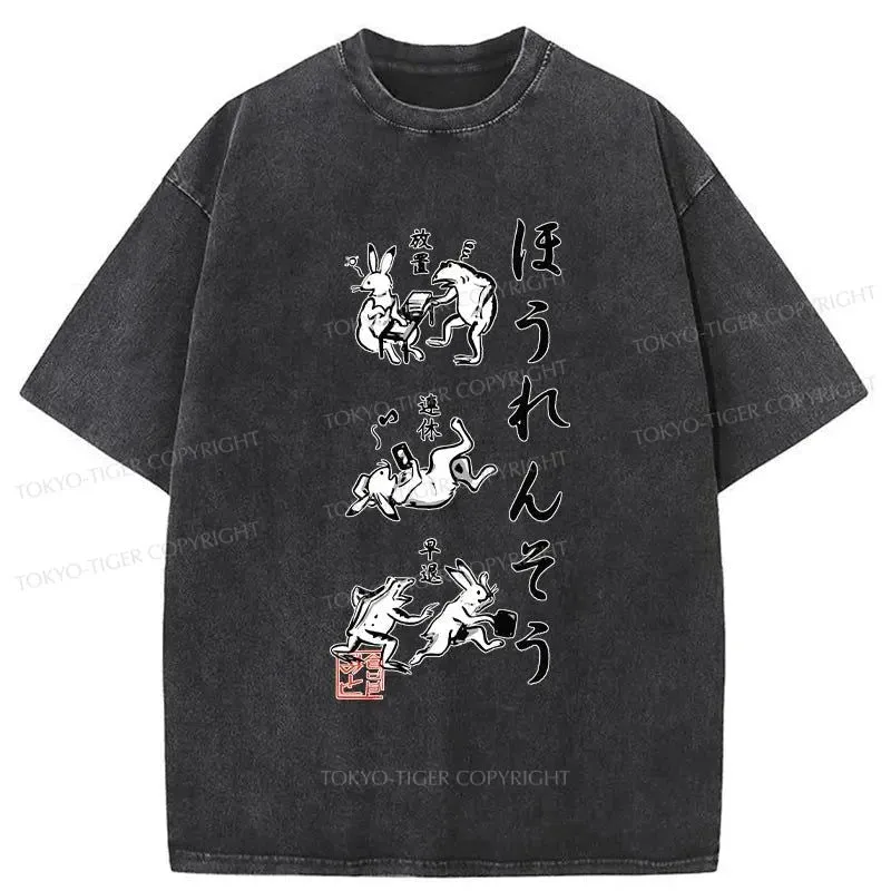 Tokyo-Tiger Funny Japanese Washed T-Shirt